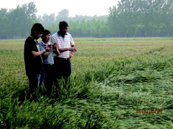 热烈祝贺山东省第十次党代会胜利召开