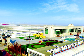 诸城恐龙博物馆_诸城地方财政收入(2)