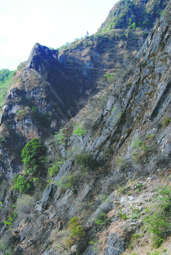 飞岩走壁采燕窝