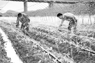 鲅鱼圈农民人口_...图为四段职工、农民工在鲅鱼圈牵引变电所进行安全质量宣