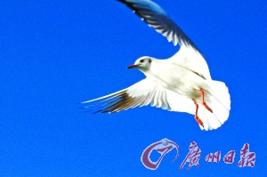 5aa914ab3ddf791c73926bd22a4fe7cc.jpg