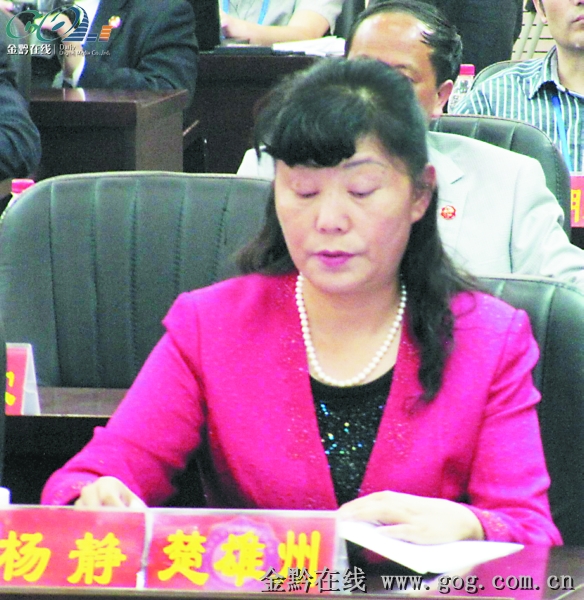 2019杨静经济_...省经信委副主任杨静汇报我省中小企业民营经济发展情况-中小企业发...(3)