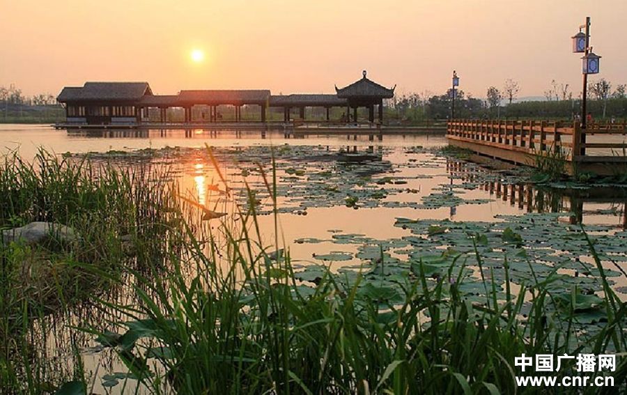 【央广独家】中部地区最大的城市湿地:洋湖湿地公园