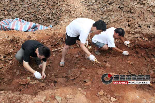 考古队员在清理遗址（湖南省文物考古研究所供图）。