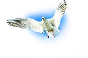 a7f7d91023166bb4eb2b92d45e6c76e6.jpg