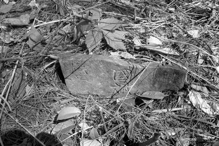 江西奉新荒郊藏匿抗战将士公墓 九成以上是湘