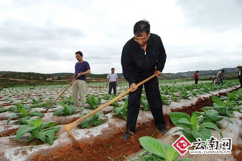 云南公投公司董事长郝蜀东在帮助联系户劳动