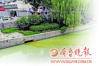 ▲黄屯小区附近的西工商河上,一处排污口正在向外排着污水,发黄的污水散发着臭味,附近居民都不知道污水从哪里来。