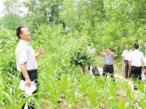 张邦能为县里30个贫困村的村支书介绍本村发展情况。记者 周雨 摄