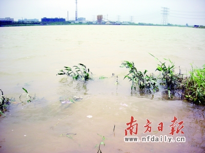 海州水道两岸布满了大量的工业园区，其中不乏电镀等重污染企业。