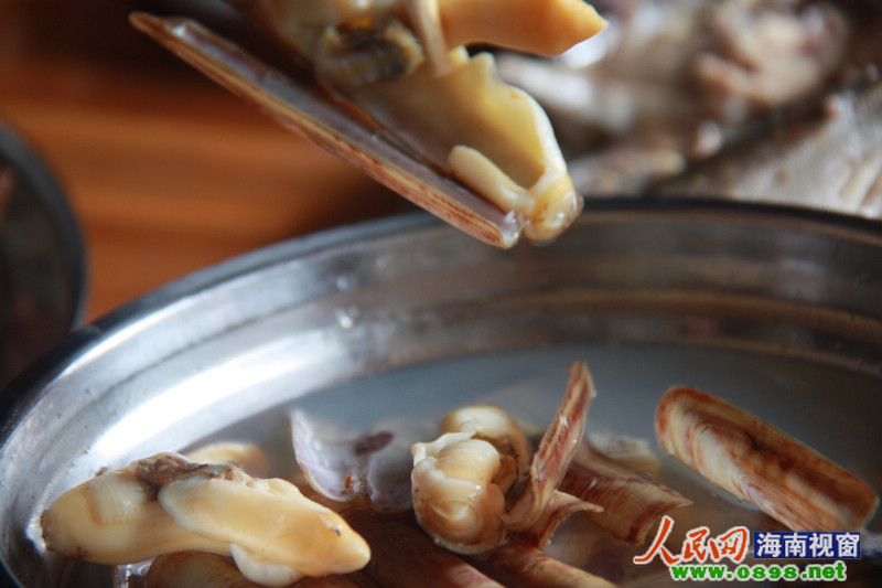 随手在海里捡上来的竹蛏用白水煮熟即吃保留着原始的鲜美。