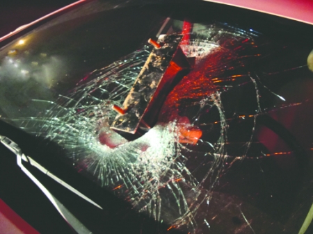 吴斌之后再现飞铁