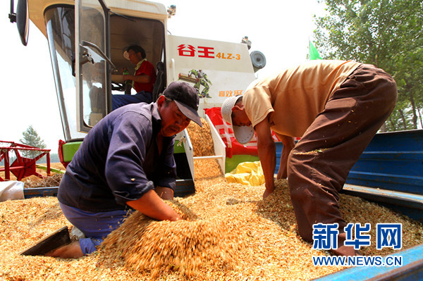 4日下午，奇瑞农业装备公益收割队正在帮助河南兰考县谷营乡农民收割小麦。