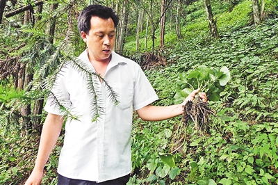 武隆天生村:唯一经纪人意外身故 谁能帮他们打