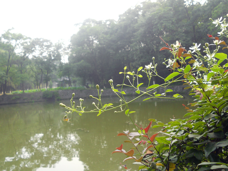 古隆中风景区优美景色