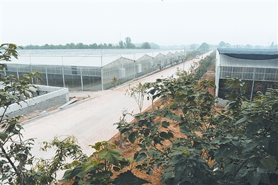 新郑梨河镇gdp_新郑市梨河镇初级中学(3)