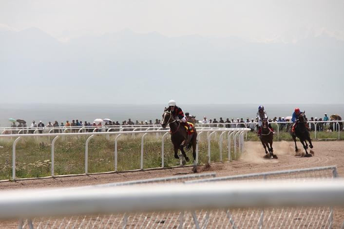 马术耐力赛和速度赛是本届旅游节最大的亮点。