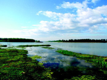 泗水gdp_生态高地 食品 硅谷(3)