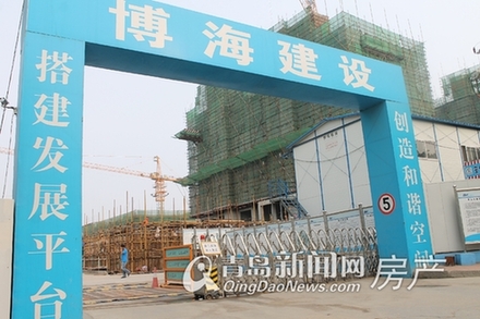 二期项目工程大门