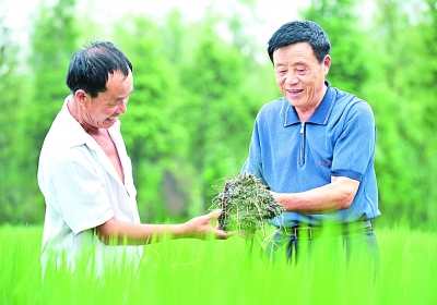 常德盛 让老百姓过上幸福生活