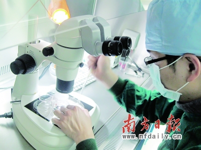 不育家庭双方共同因素占两成