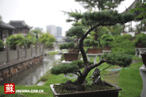 泰州:着力改善文化民生,构建人文和谐名城