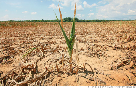 干旱影响美国粮食出口 损失恐达数十亿美元