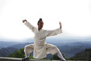 太极八卦连环掌 麦兜探秘大武当