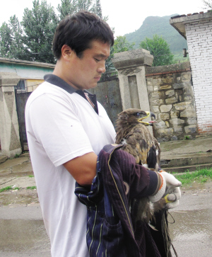 晨报讯(记者 隋婷)一只金雕的幼鸟,被路人相救.