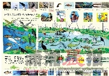 《湘江长沙段物种多样性绿地图》