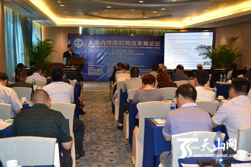 新疆:发挥经济通道优势 打造物流新高地