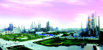 临邑gdp_临邑好人图片