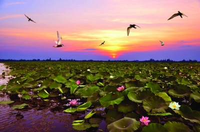 湘阴鹤龙湖.