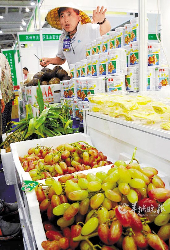 <em>小小</em>皱纹透露<em>人体</em>的衰老_资讯频道_凤凰网