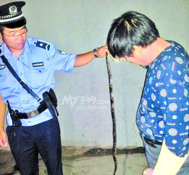 阿城一居民区惊现1.5米长毒蛇(图)