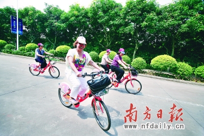 公共自行车为何迟迟未现身?