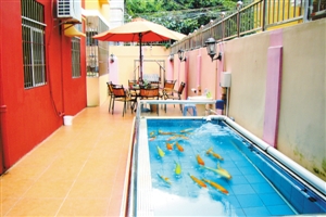 房东掏20万元修花园式住房 为拿宜居出租屋