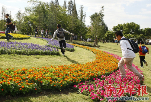 图片说明:9月29日, 一些孩子跨进花坛玩耍,踩踏花草