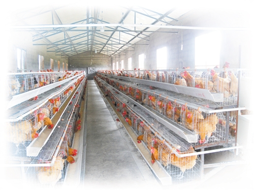 秀山 强力推进“三化” 实现“富民兴秀”