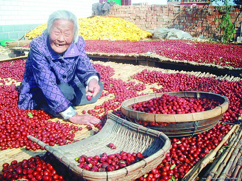 丰收的喜悦_资讯频道_凤凰网