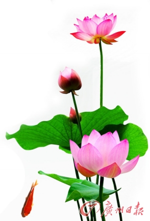 复大天河医院廉洁文化建设透视