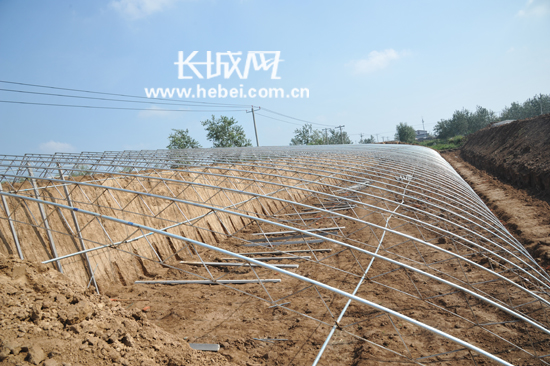 栾城东牛村建32个蔬菜大棚 再现寿光种植模式