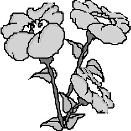 谁是未来中国经济第四增长极