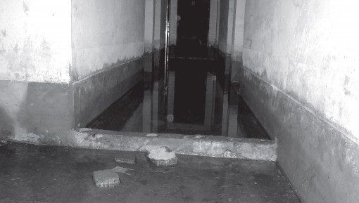 小区地下室长期积水 最深时淹过膝盖(图)