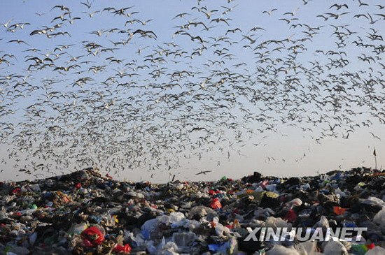 问世广州城市病系列报道:如何破解垃圾围城?