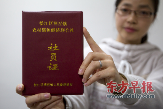 收入证明_农民经济收入调查(2)