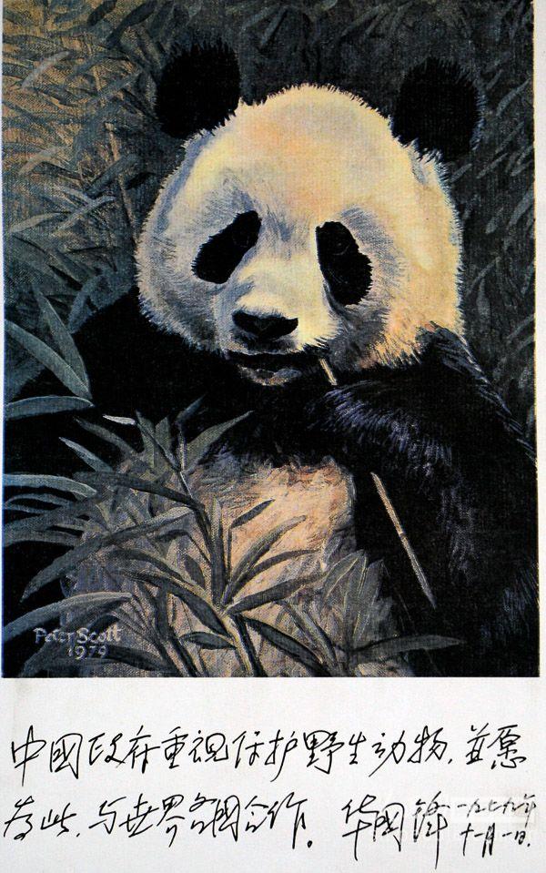 佛坪县有个人与自然宣教中心。里面大都是秦岭的动植物标本和照片,还有些大熊猫、金丝猴、娃娃鱼骨骼。被列入全国首批科普教育示范基地的秦岭人与自然宣教中心位于佛坪县南的佛坪国家级自然保护区院内,由国家林业局投资500余万元兴建。标本有大熊猫、金毛牛角羚牛、金丝猴、朱鹮、金雕、豪猪、花面狸、豹猫、林麝、毛冠鹿、小鹿、鬣羚、太阳鸟、红嘴相思鸟、中华秋沙鸭、红腹锦鸡、血雉、长嘴鹬、纵纹腹小号鸟、赤腹鹰、白冠长毛雉等300多个珍稀野生动物标本。秦岭的植物照片有三叶草、红豆杉、冷杉林等。部分照片拍摄的不大理想。