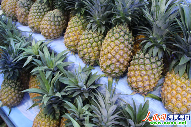 台湾菠萝商首次参展 称冬交会提供平台极好