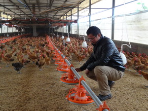 陈林:农村青年养鸡致富 获评科技致富先进个人