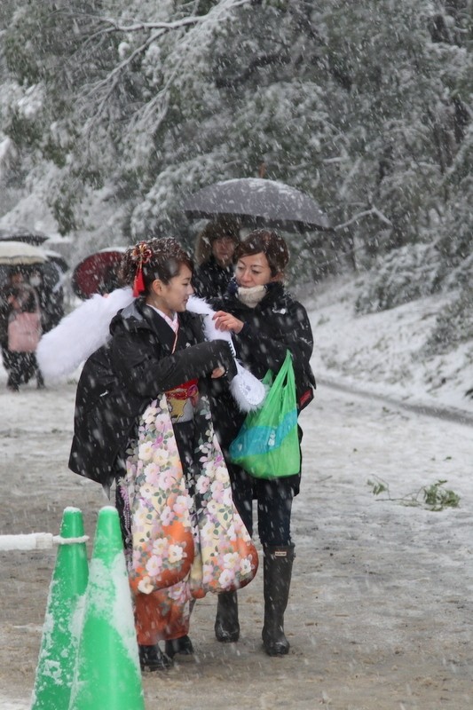 日本东京迎来白色成人节